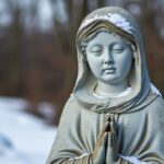Martre venimeuse : l'erreur fatale aux conséquences lourdes