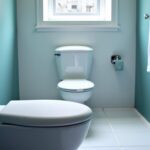 WC ou lavabo engorgé en hiver : les gestes essentiels à adopter